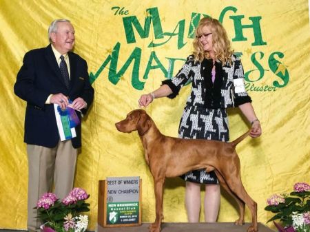 Image of Berkcor's & Lorac's Golden Mountains of Altai