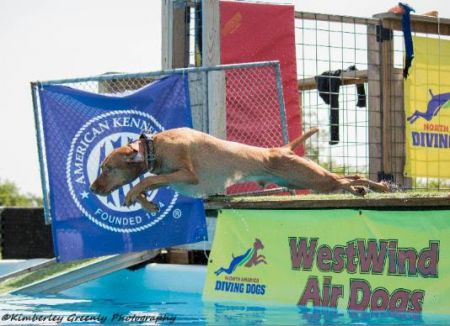 Image of Double Gun's A Royal Flush