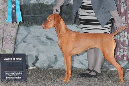 Image of Kelby Creek's Sweet Thing