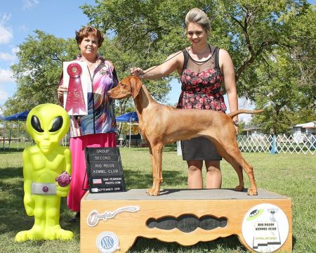 Image of Regal Point Once Upon A Rainbow