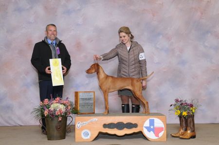 Image of Regal Point Once Upon A Rainbow