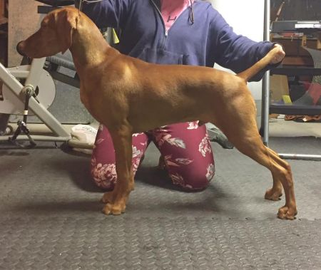 Image of DP's I Triple Dog Dare Ya