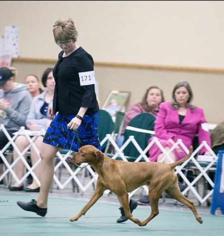 Image of Autumn Acres Red Velvet Affair