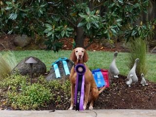 Image of Hrq Meet The Expert