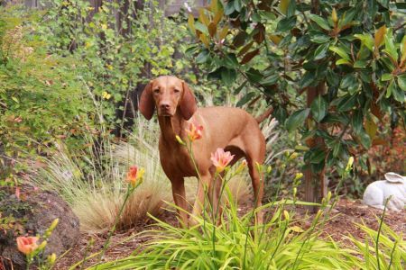 Image of Hrq Meet The Expert