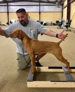 Image of Russet Leather Windfall