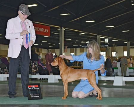 Image of Jaseni's Firefly Washburne