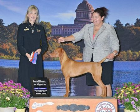 Image of Walter's Put You Red Head Back In Bed B4 Morning