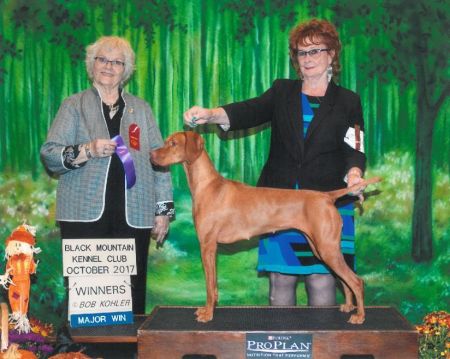 Image of Russet Leather Pawnee Moon