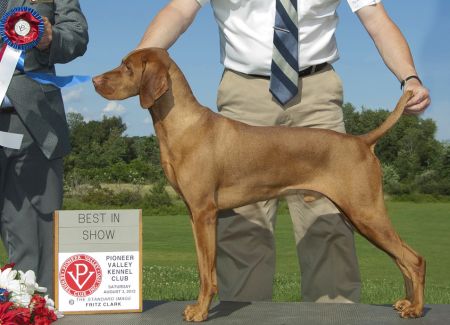 Image of Cinnabar's Sasco Finale