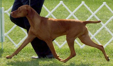 Image of Cmf Bud Leitz