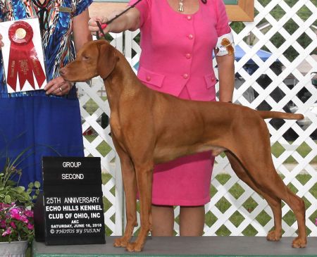 Image of Hilldale Cmf Steichen's Studio Leitz