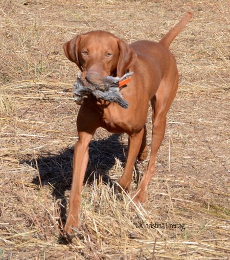 Image of Hilldale Cmf Steichen's Studio Leitz