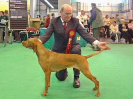 Image of Hookside Banya