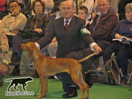 Image of Hookside Csilla