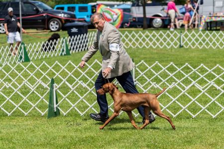 Image of Cameo's Rollin' N Tumblin'