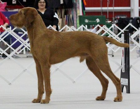 Image of Vizcaya's Gotta Wear Shades