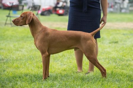 Image of Solterra's N Boulder's Timelock To My Heart