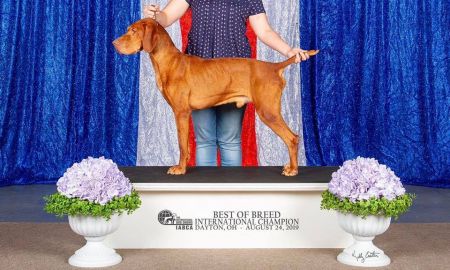 Image of Northstar Luxatori Tucky