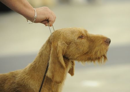 Image of Quodian's Quita