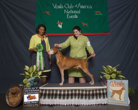 Image of Aislinn's Rr Elite Edition