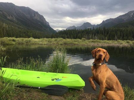 Image of Mesterhazi Zserbo