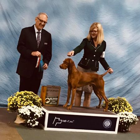 Image of Berkcor's & Lorac's Golden Mountains of Altai