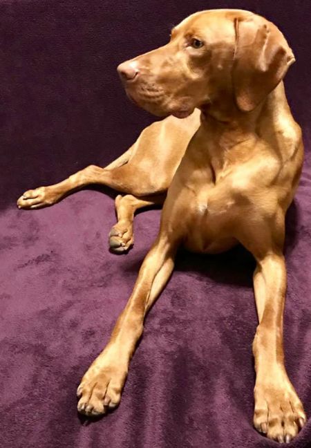 Image of Granite's Noa Doubt About It