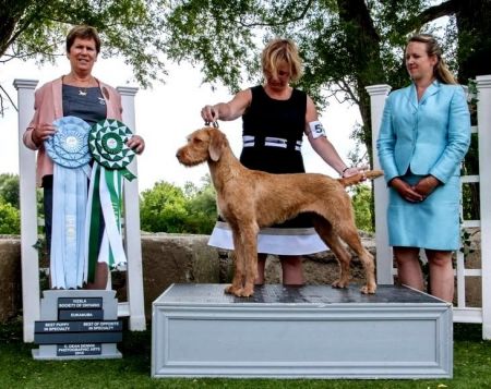 Image of Vizcaya's Moonshine Tipsy