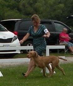 Image of Vizcaya's Moonshine Tipsy