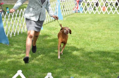 Image of Lyons N Penlee's Essence At Panacea