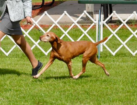 Image of Lyons N Penlee's Essence At Panacea