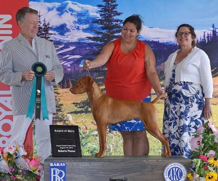 Image of Walter's Put You Red Head Back In Bed B4 Morning