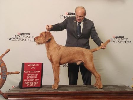 Image of Zöldmáli Szalma