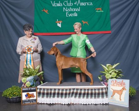 Image of Captivatin's Heir To The Throne