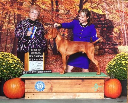 Image of DP's I Triple Dog Dare Ya