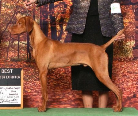 Image of Jnek's The Beat Goes On