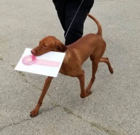 Image of Jnek's The Beat Goes On