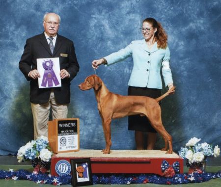 Image of Jnek's The Beat Goes On