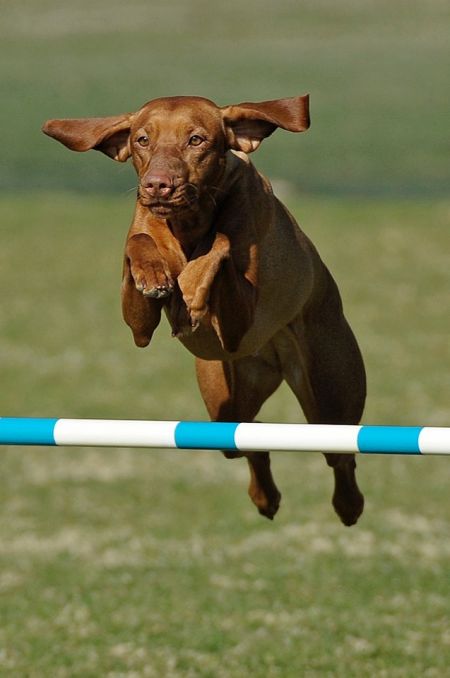 Image of Artisan Play It Again Pink