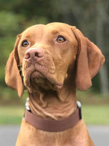 Image of Rheingold Fricka Sporty Spice