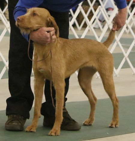 Image of Blaythorn They Call The Wind Mariah