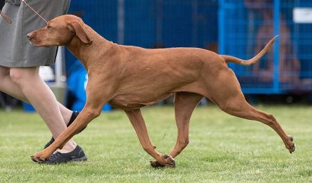 Image of Metropolis Beaucoup Beaucoup (AI)