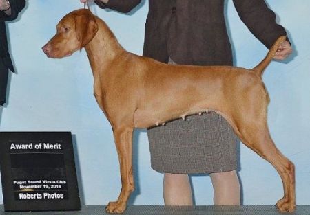 Image of Kelby Creek's Spirit Of Kilauea