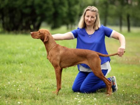 Image of Zov Poley Zolotaya Mechta