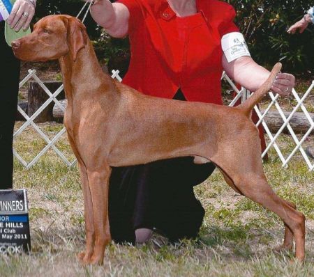 Image of Storm Winds Kizmar Sirocco