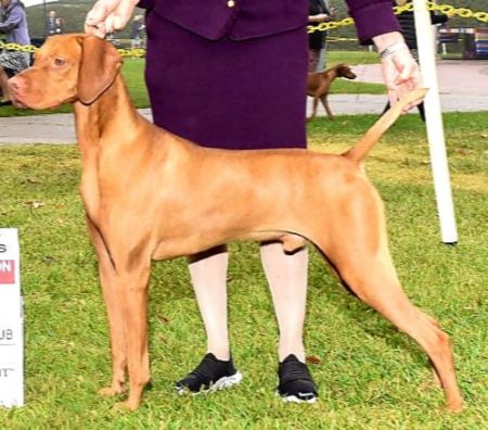 Image of Mira N' Storm Winds Pale Moon Rises