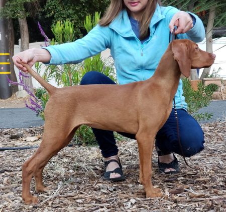 Image of Storm Winds Kiss Me Sugar One More Time