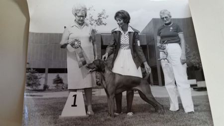 Image of Terreparte Troy