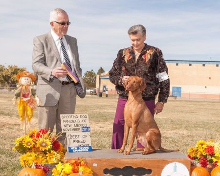 Image of Regal Point Somewhere Over The Rainbow